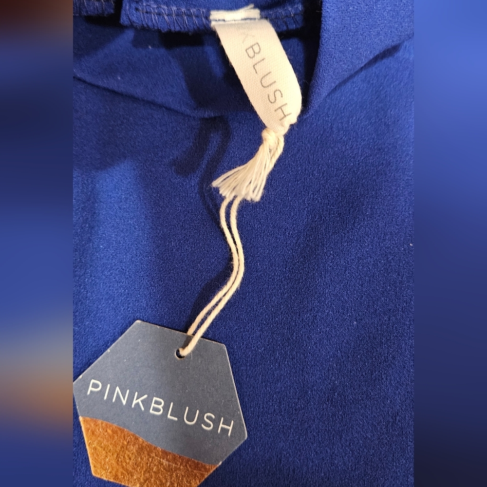 NWT Pinkblush maternity dress Size M - Picture 7 of 7